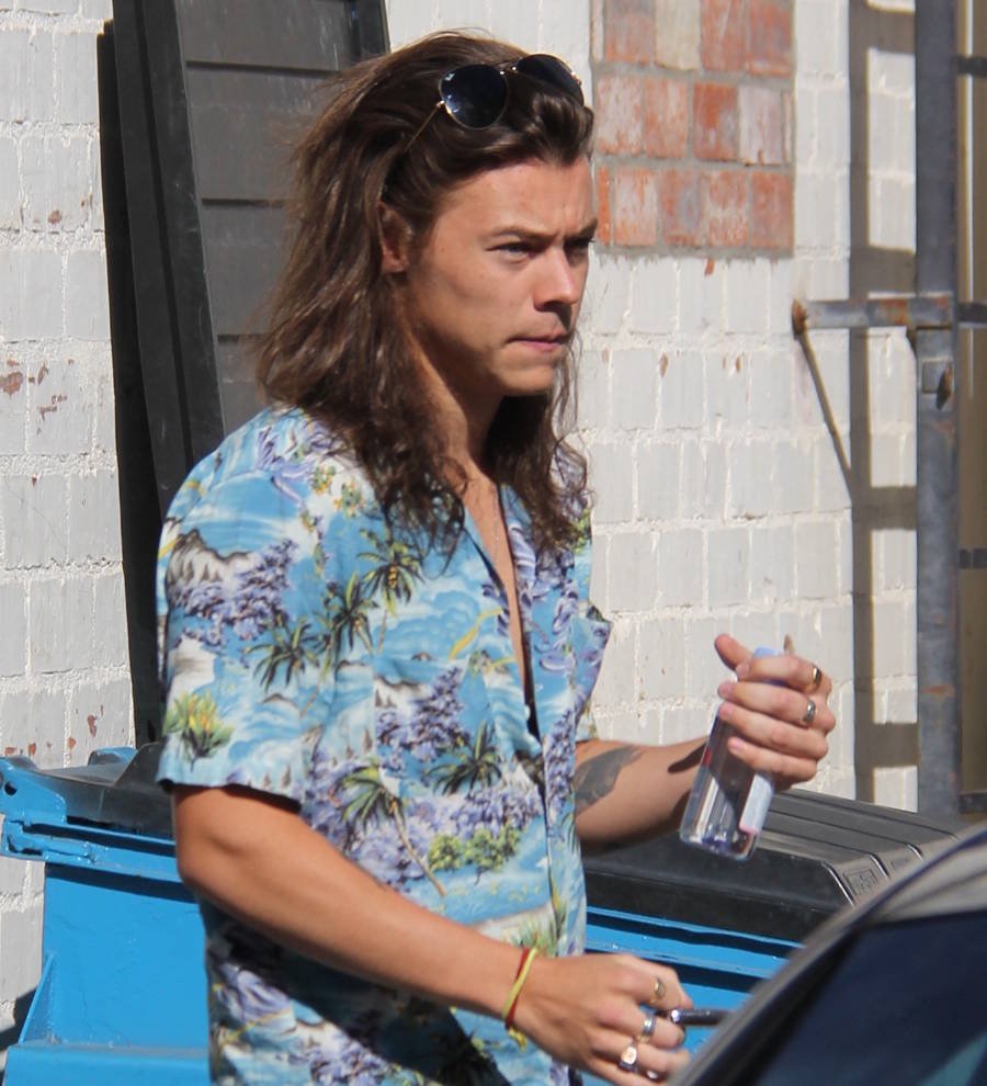 Harry Styles praised by charity boss for donating his locks