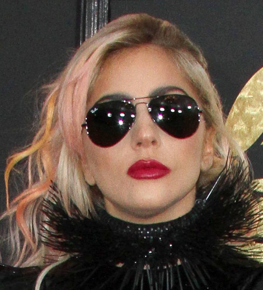 Lady Gaga's rooster upsets neighbors
