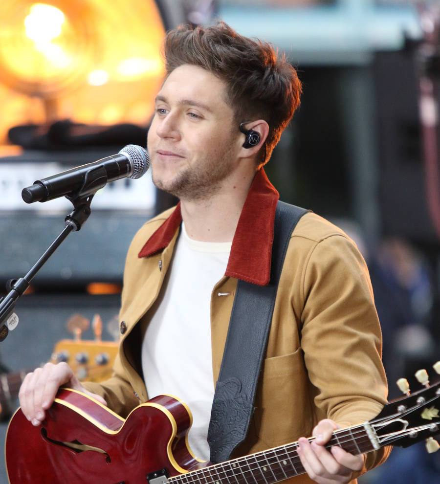 Niall Horan chart-topper gives One Direction star a feat shared by the Beatles
