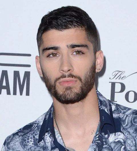 Zayn Malik to appear in his boyband TV series - report