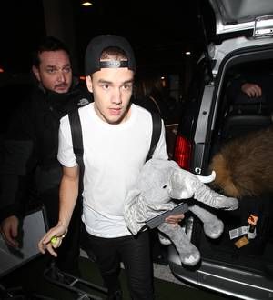 Liam Payne injured in airport rush