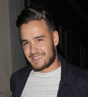 Harry Styles and Liam Payne double date with fans