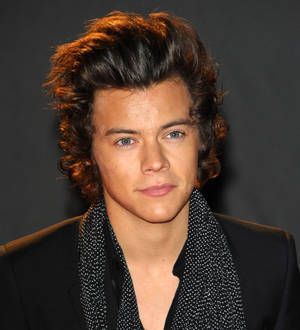 Harry Styles thanks fans for birthday donations