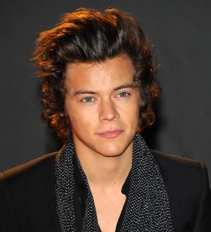 Harry Styles thanks fans for birthday donations