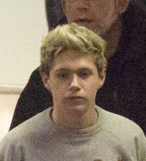 Niall Horan dismisses car accident report