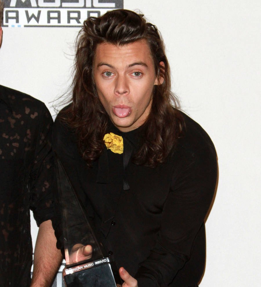 Harry Styles and Kings of Leon star 'have matching tattoos'