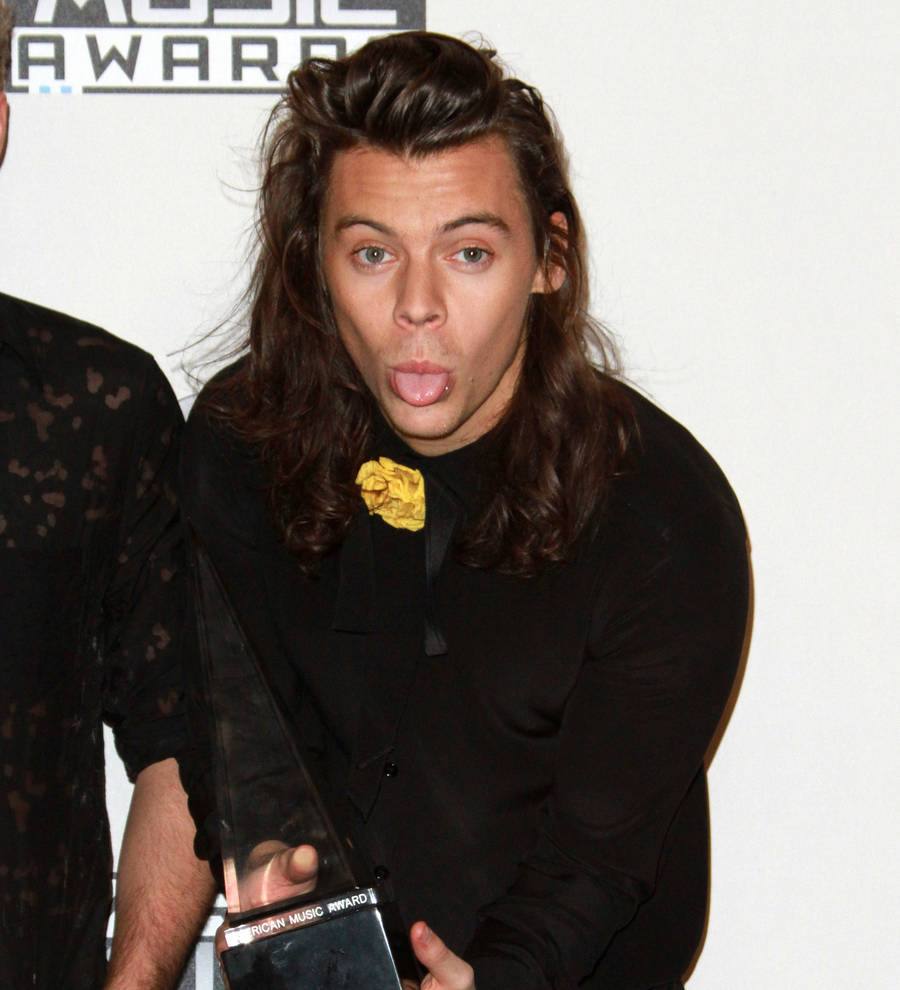 Harry Styles and Kings of Leon star 'have matching tattoos'