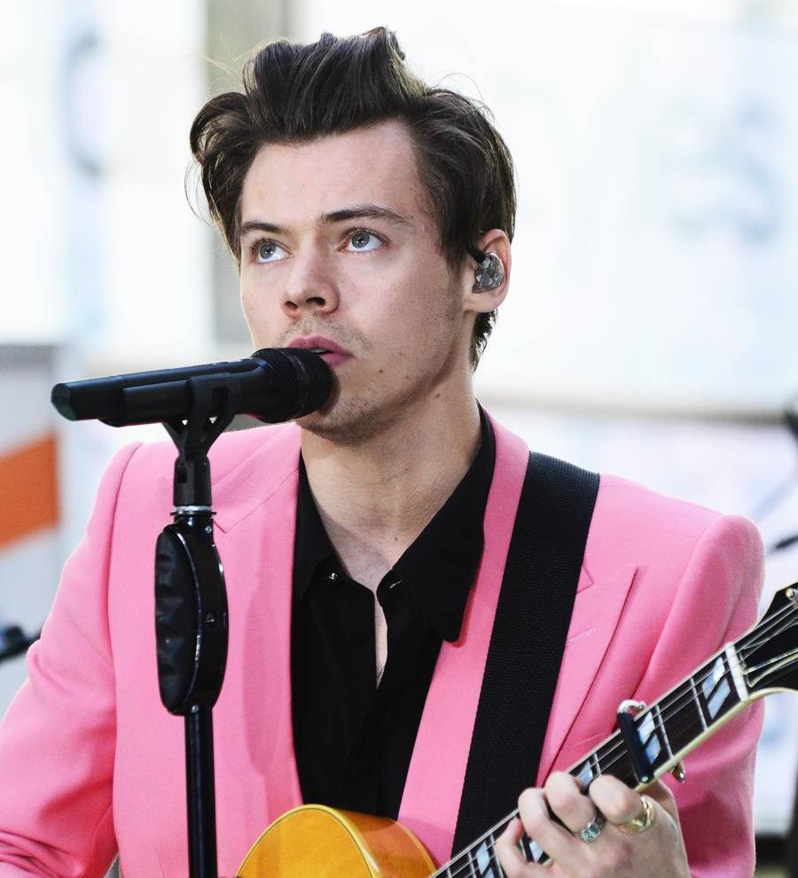 Harry Styles splits from food blogger - report
