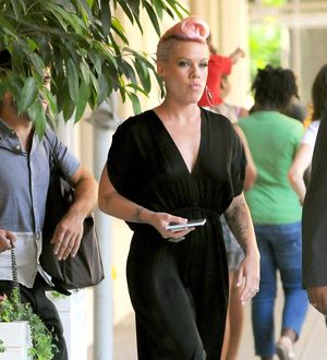 Pink bans daredevil husband from performing backflips