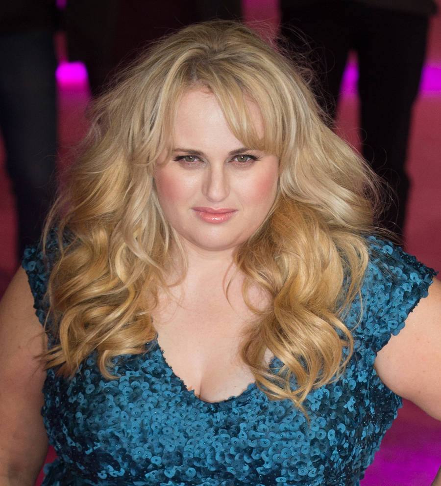 Rebel Wilson: 'I get nothing for Valentine's Day'