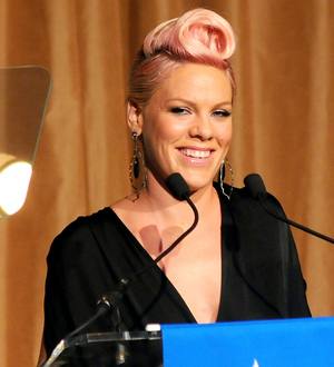 Pink turned down Idol and X Factor