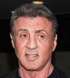Lionsgate bosses sue website owners over Expendables 3 leak