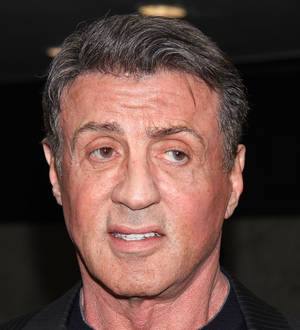 Lionsgate bosses sue website owners over Expendables 3 leak