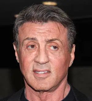 Lionsgate bosses sue website owners over Expendables 3 leak