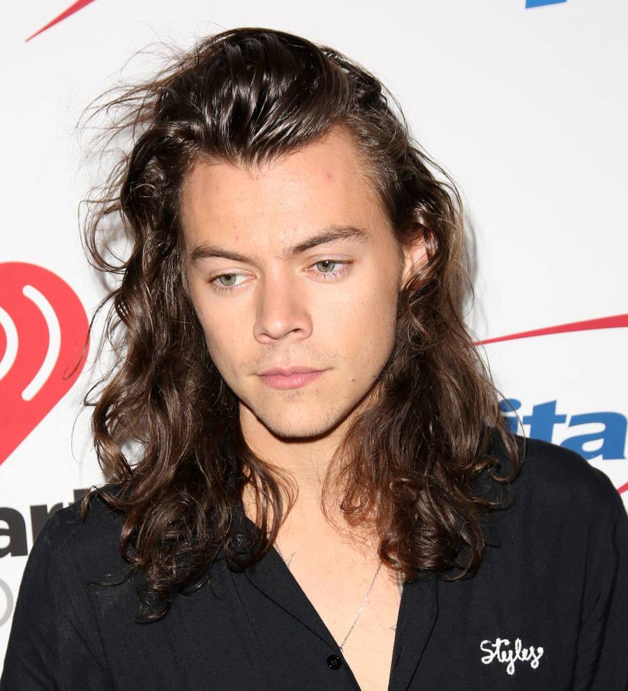 Lonely Harry Styles dines with neighbours