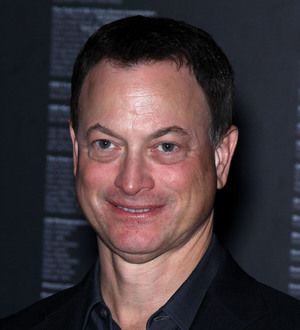 Gary Sinise recovering after car accident