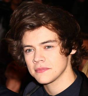 Harry Styles misses flight after passport drama