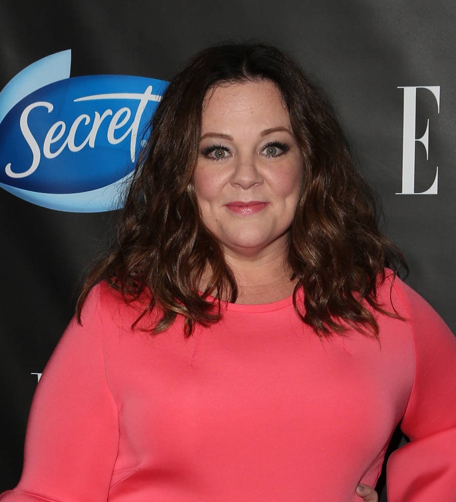 Melissa McCarthy: 'It's funnier if I do the stunts'