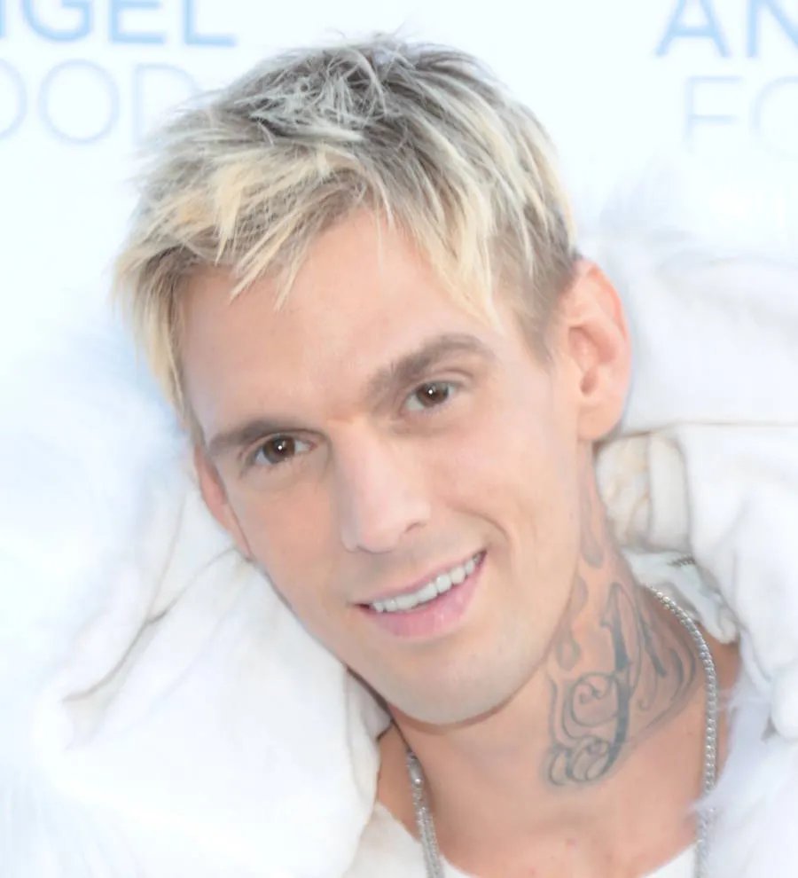 Aaron Carter facing charges over DUI arrest