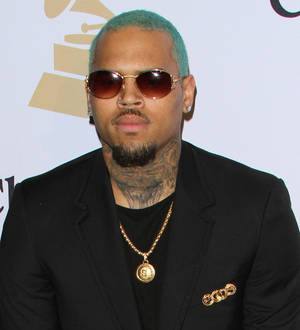Chris Brown's car searched for gun