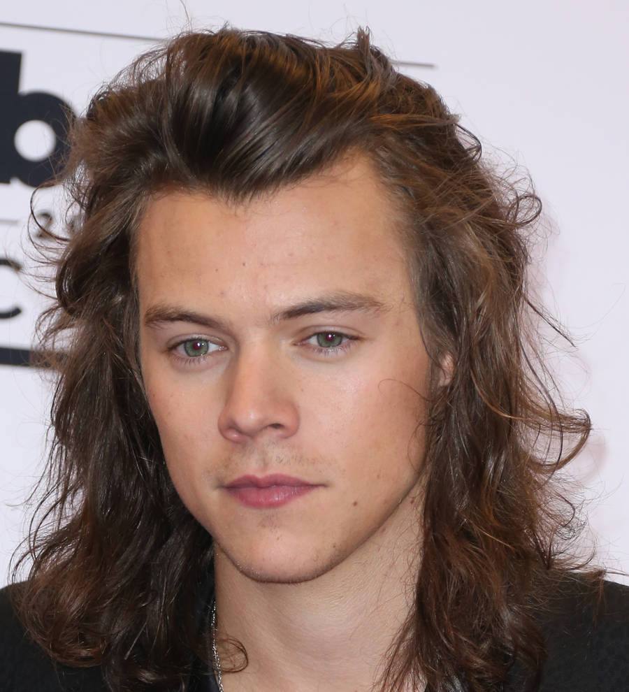 Harry Styles corrects fan's banner onstage
