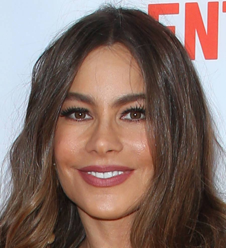Sofia Vergara reaches out to 'Mr Nasty' Simon Cowell for Modern Family cameo