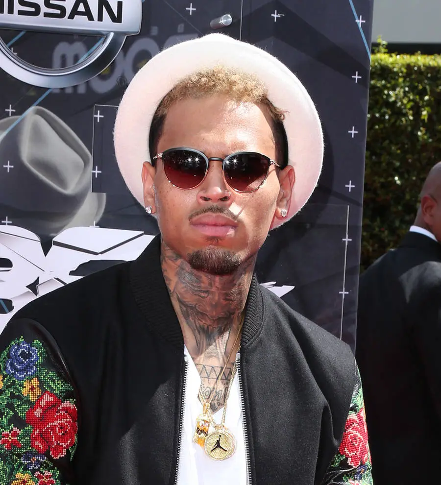 Chris Brown gets restraining order against alleged trespasser