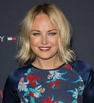 Malin Akerman's TV comedy axed