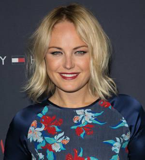 Malin Akerman's TV comedy axed