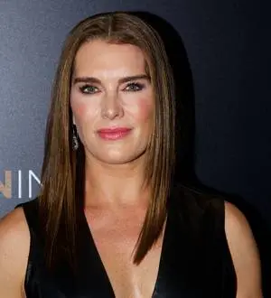 Brooke Shields' alleged stalker wanted by New York police