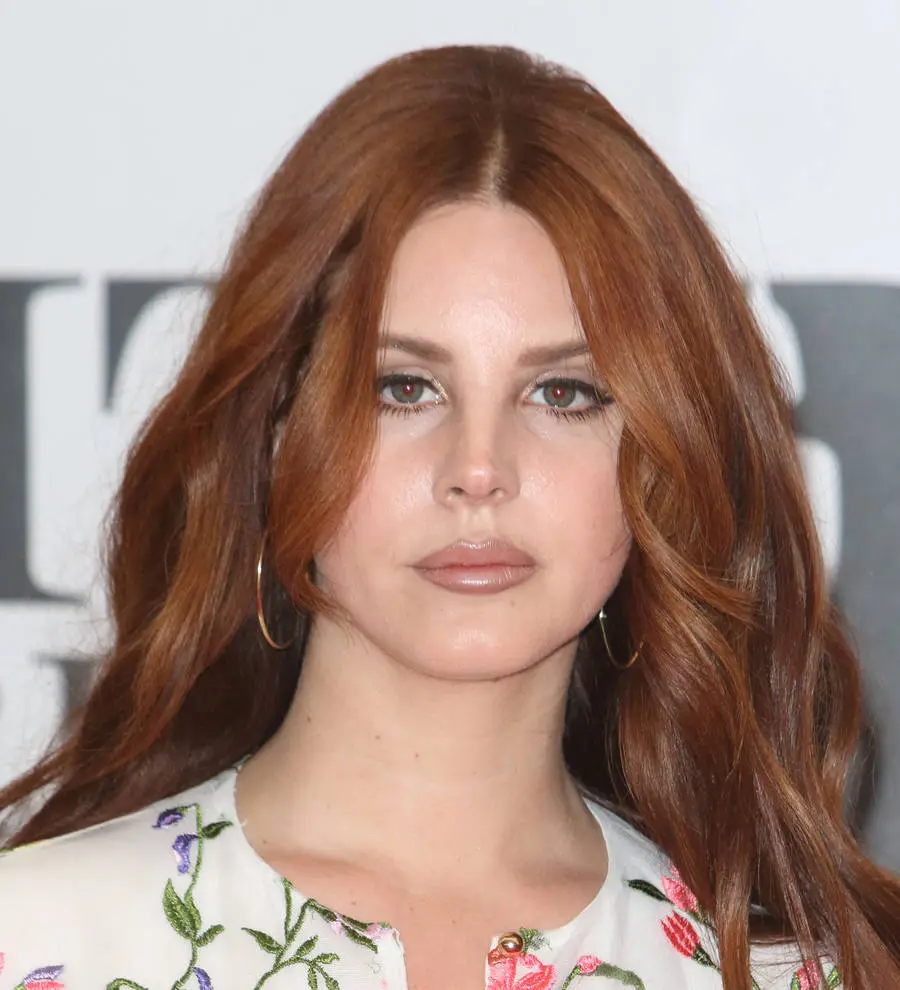 Lana Del Rey's Twitter page hacked