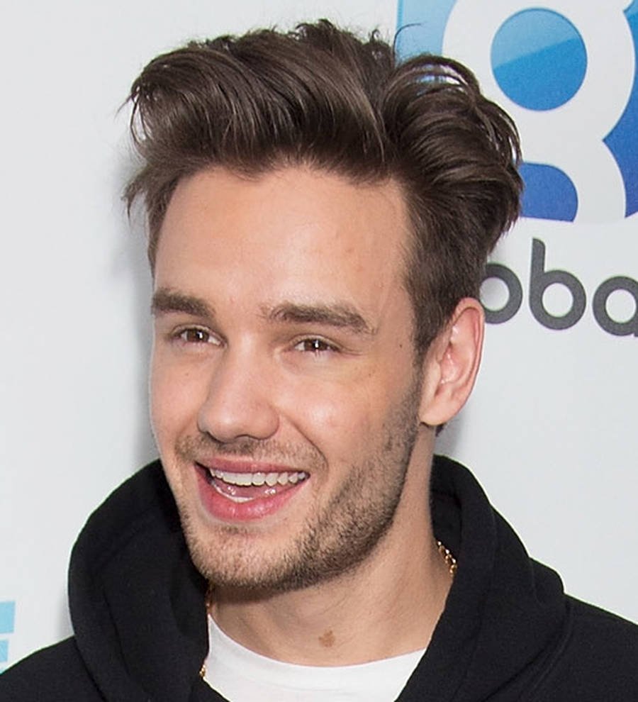 Liam Payne still regrets posting pal Niall Horan's car registration plate online