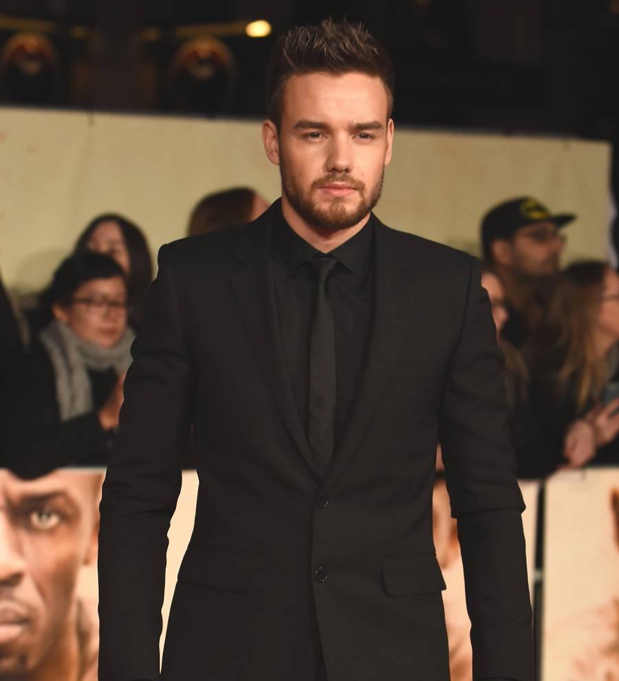 Liam Payne treats hospitalized children to Christmas presents