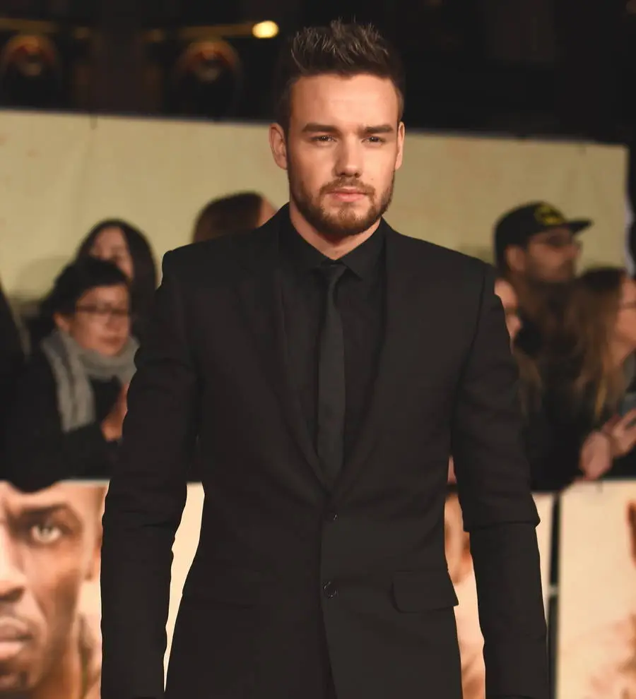 Liam Payne treats hospitalized children to Christmas presents