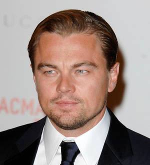 Leonardo DiCaprio injured on Django Unchained set