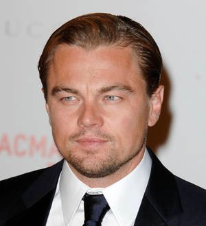 Leonardo DiCaprio injured on Django Unchained set