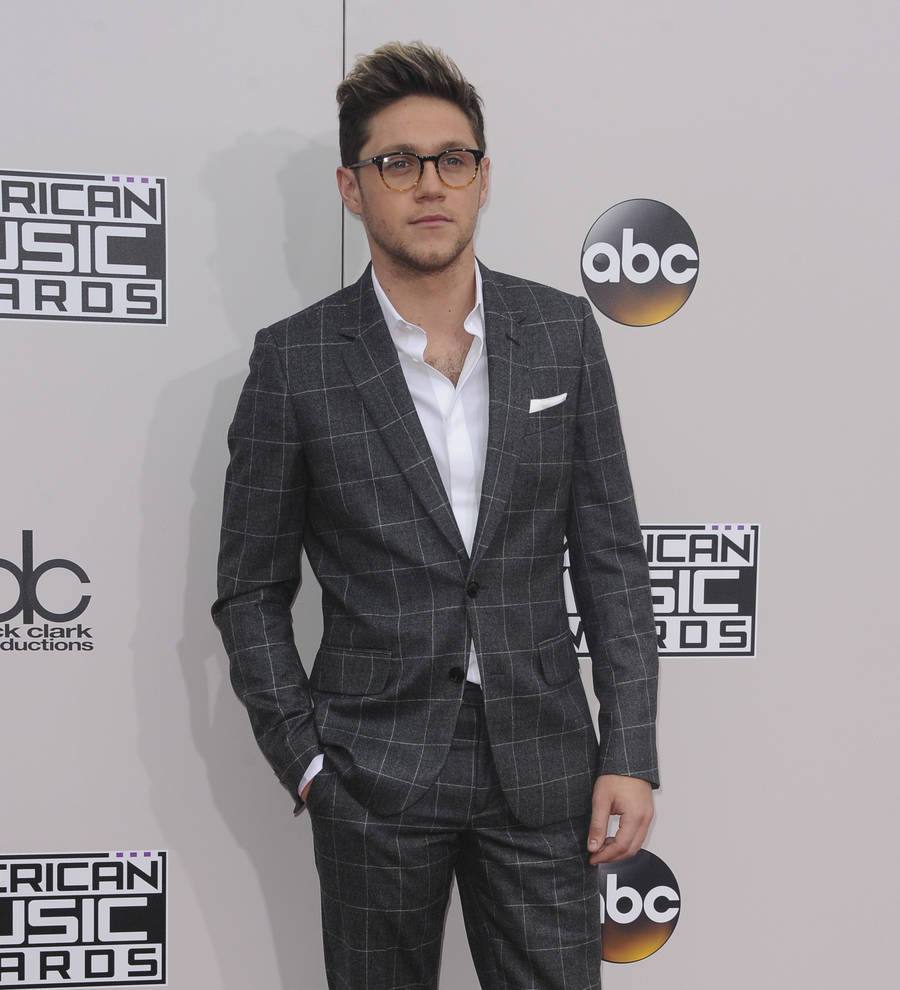Niall Horan sparks rumors Liam Payne is expecting a daughter