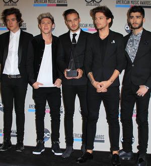 One Direction banned from filming on British Parliamentary grounds