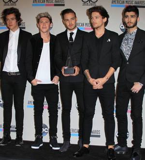 One Direction banned from filming on British Parliamentary grounds
