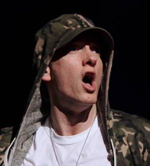 Rihanna joins Eminem at Lollapalooza