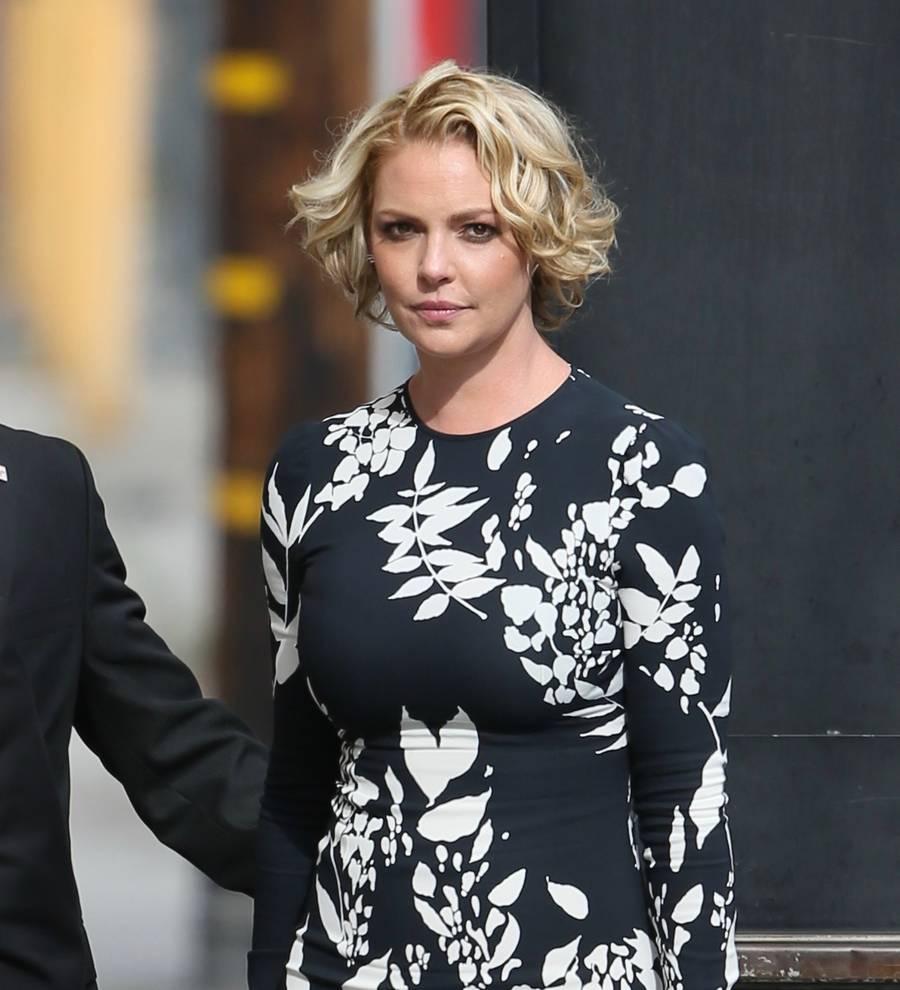 Katherine Heigl's dog battling brain tumour