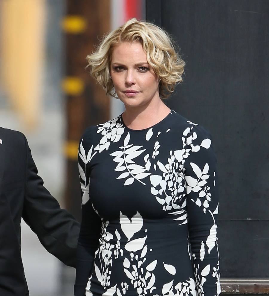Katherine Heigl's dog battling brain tumour