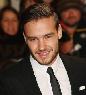 Liam Payne apologises for high-rise building stunt