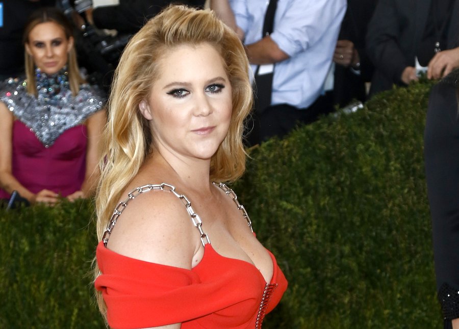 Thrice As Nice: Amy Schumer To Guest Star On 3 FOX Shows In One Night!