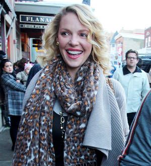 Katherine Heigl planning TV return with spy series
