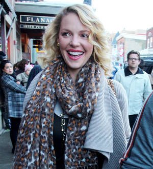 Katherine Heigl planning TV return with spy series