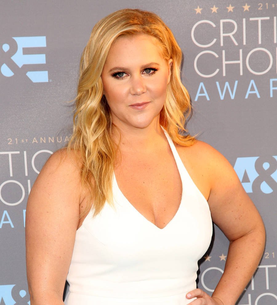Amy Schumer sympathises with Leslie Jones over Twitter trolls