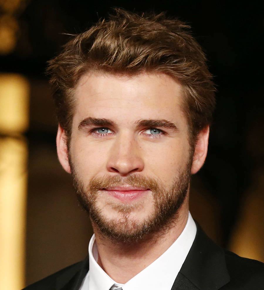 Miley Cyrus helps ex Liam Hemsworth adopt a dog