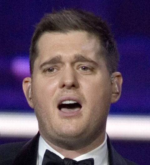 Harry Styles and Meghan Trainor co-wrote song for Michael Buble