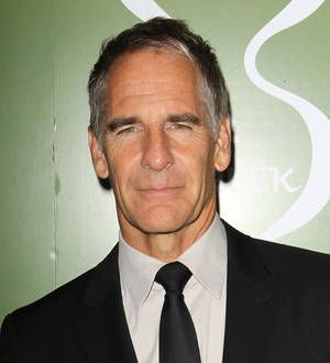Quantum Leap stars to reunite on TV